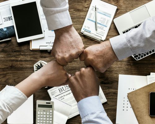 Management Support